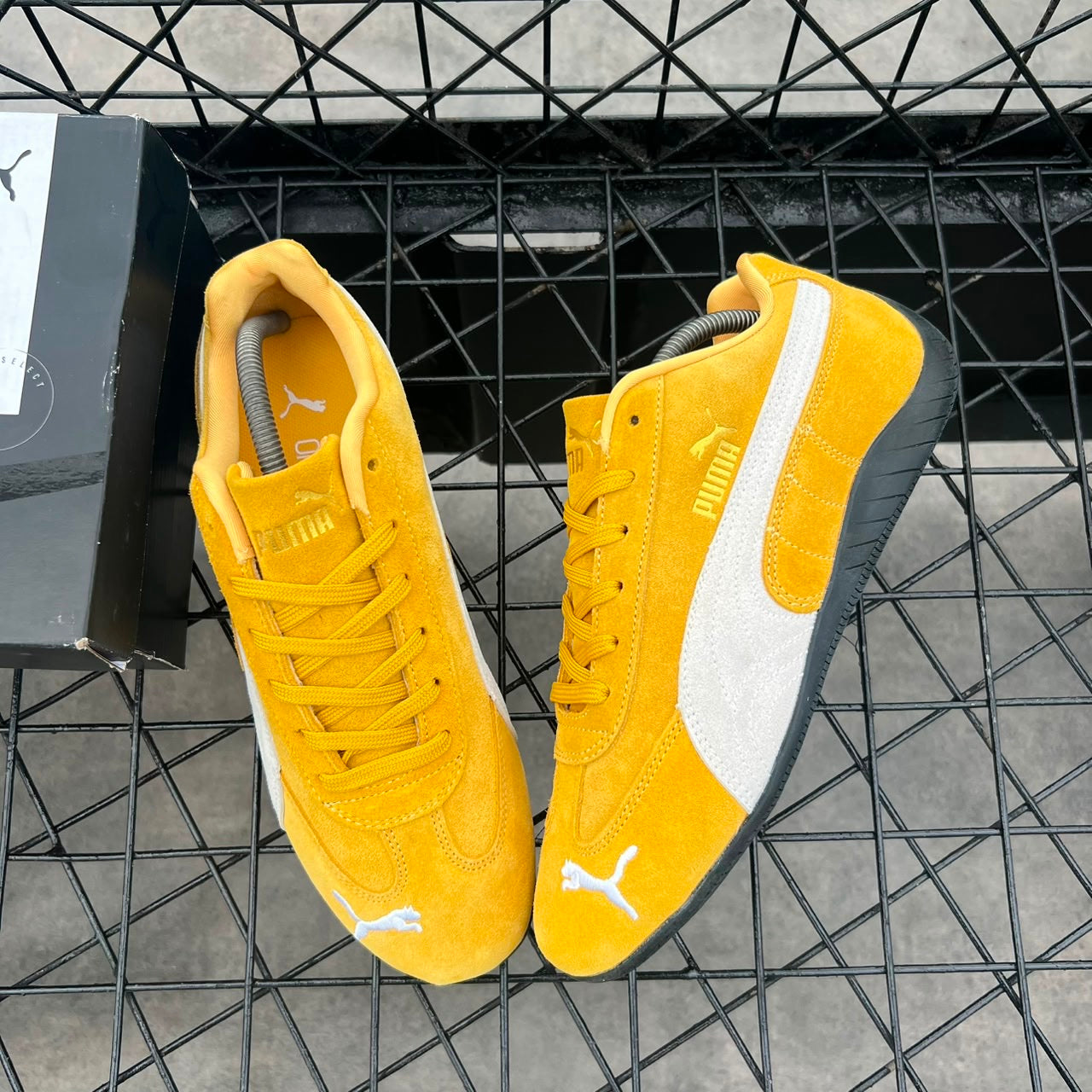 PUMA SPEEDCAT OG (archive gold white)