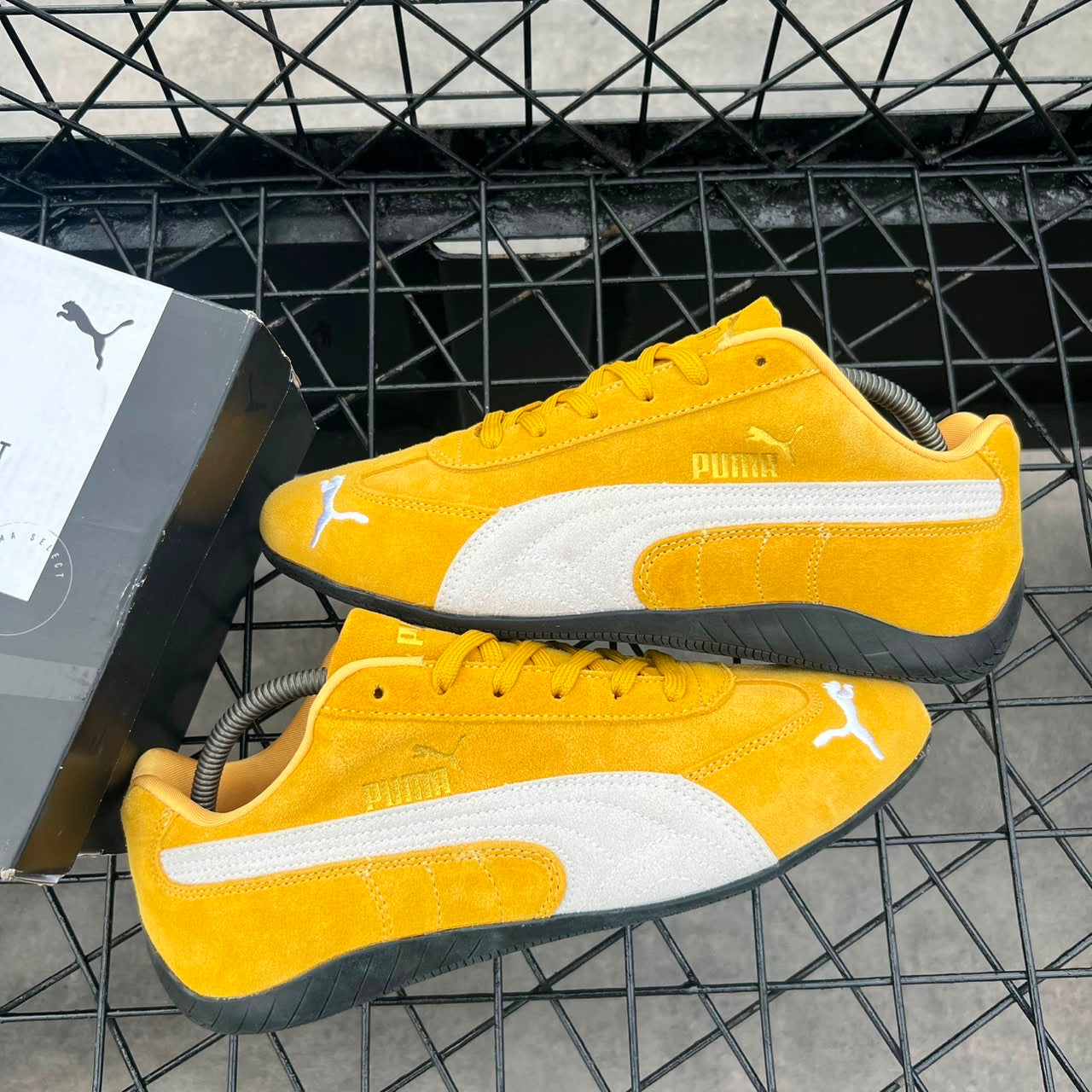 PUMA SPEEDCAT OG (archive gold white)